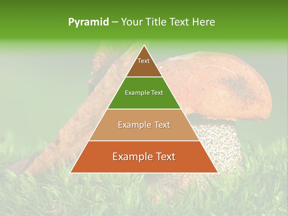 Mushrooms PowerPoint Template