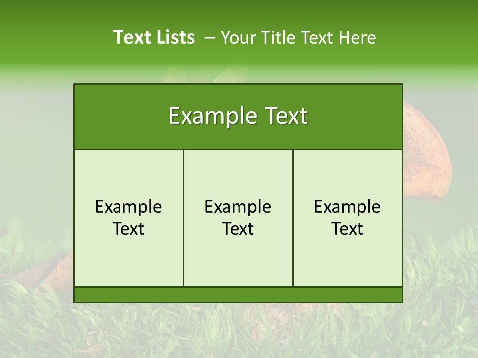 Mushrooms PowerPoint Template
