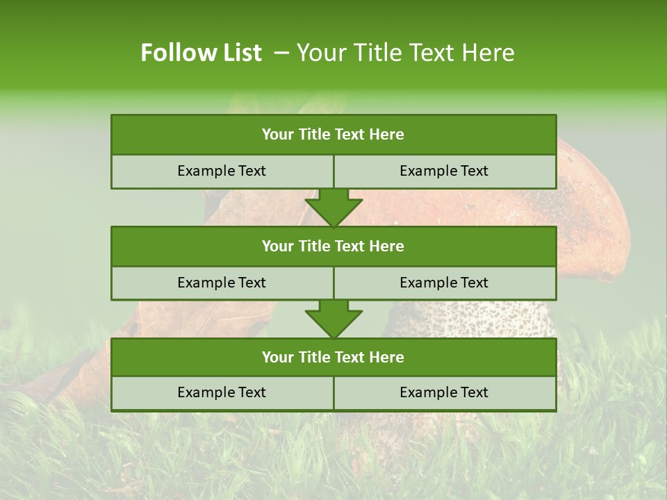 Mushrooms PowerPoint Template