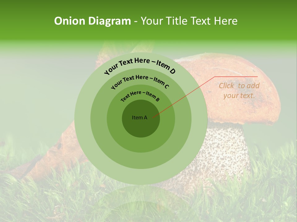 Mushrooms PowerPoint Template