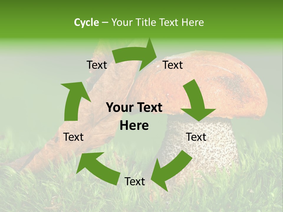 Mushrooms PowerPoint Template