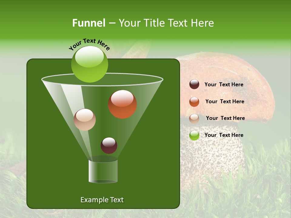 Mushrooms PowerPoint Template