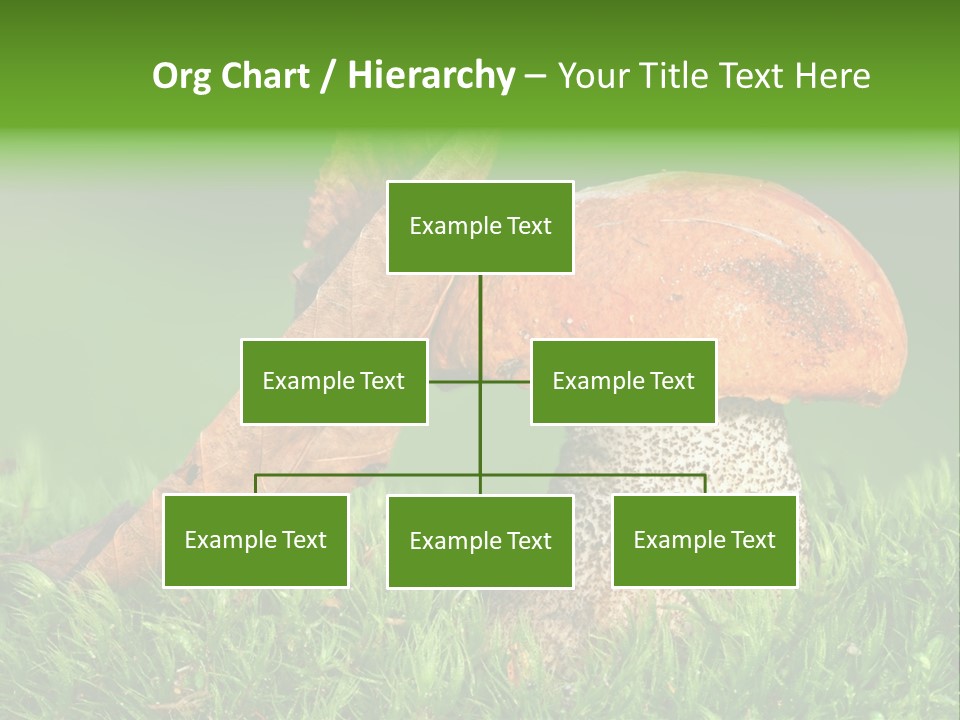 Mushrooms PowerPoint Template