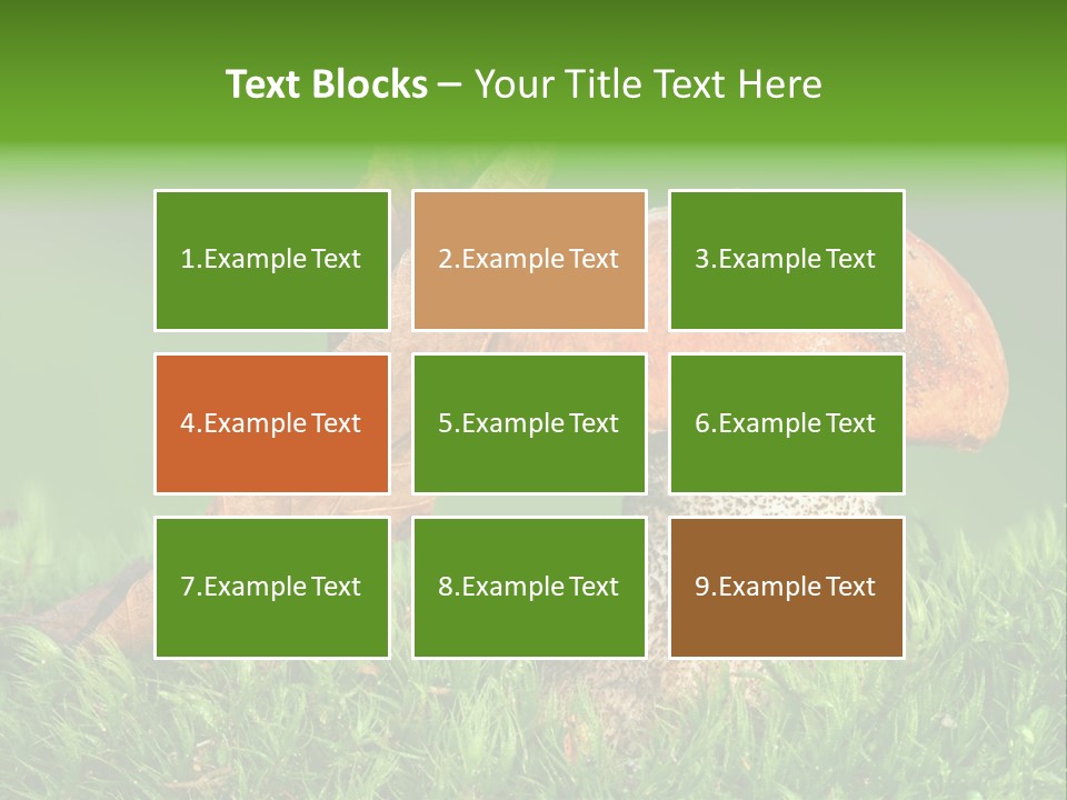 Mushrooms PowerPoint Template