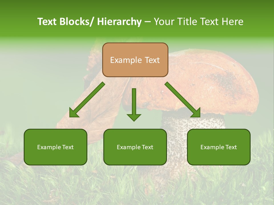 Mushrooms PowerPoint Template