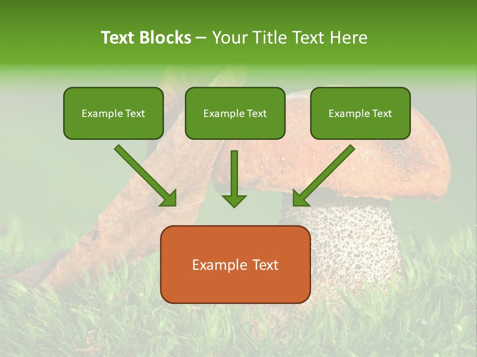 Mushrooms PowerPoint Template