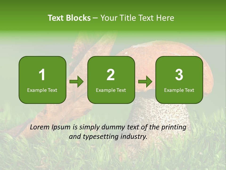 Mushrooms PowerPoint Template