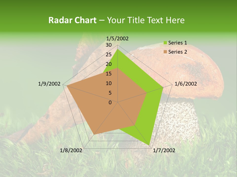 Mushrooms PowerPoint Template