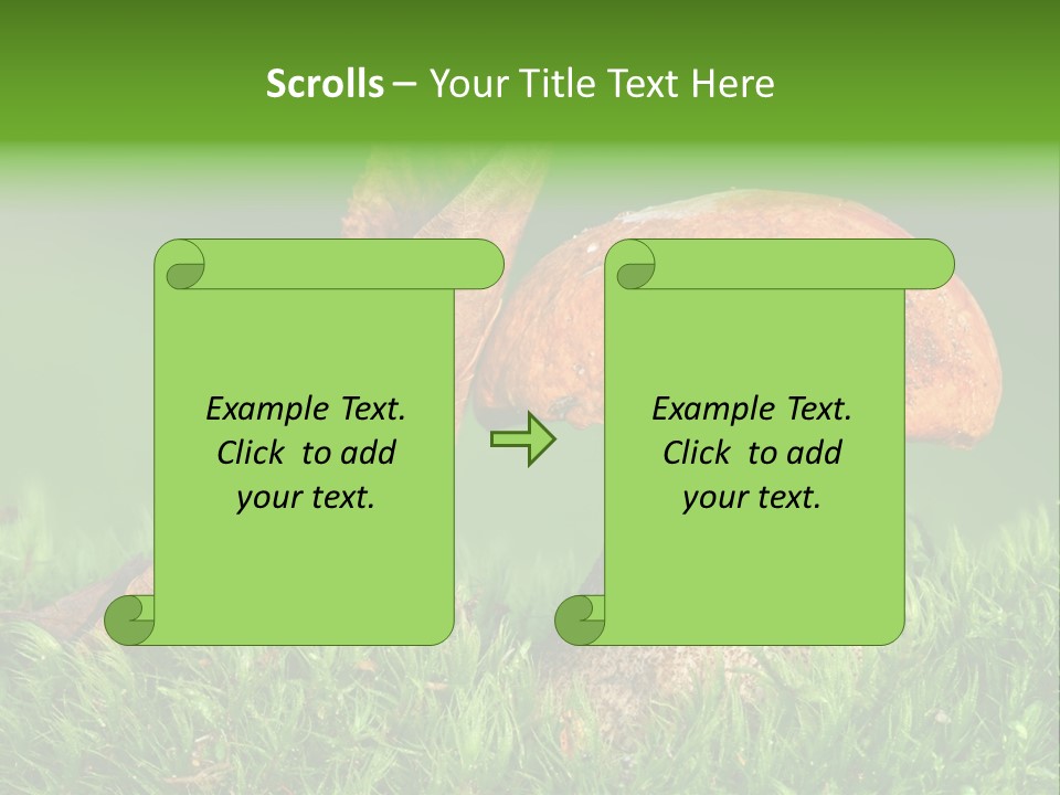 Mushrooms PowerPoint Template