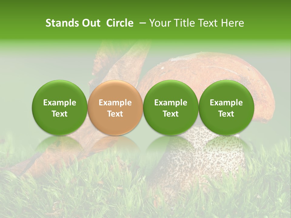 Mushrooms PowerPoint Template