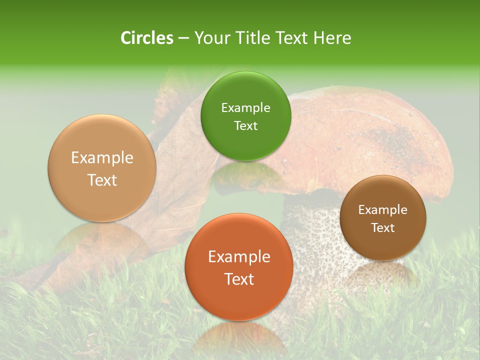 Mushrooms PowerPoint Template