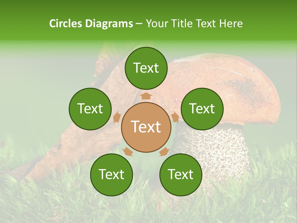 Mushrooms PowerPoint Template