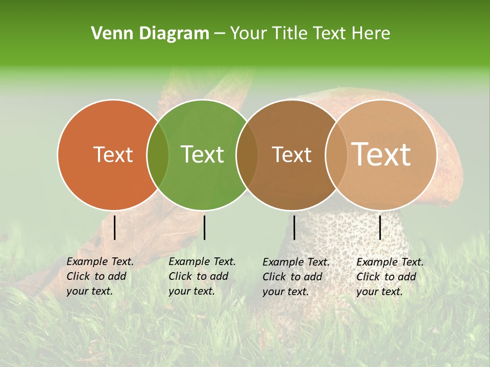 Mushrooms PowerPoint Template