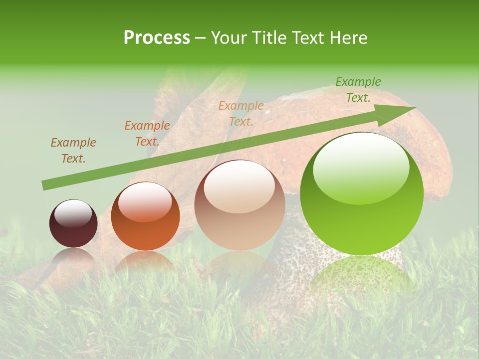 Mushrooms PowerPoint Template