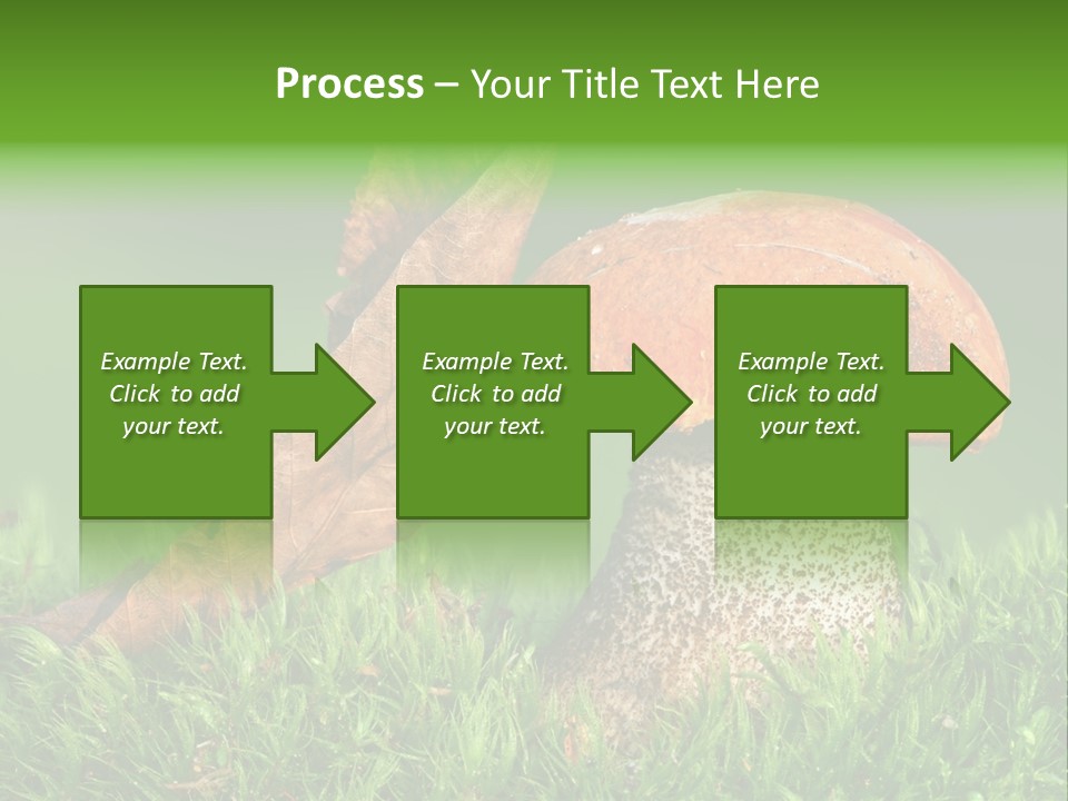 Mushrooms PowerPoint Template