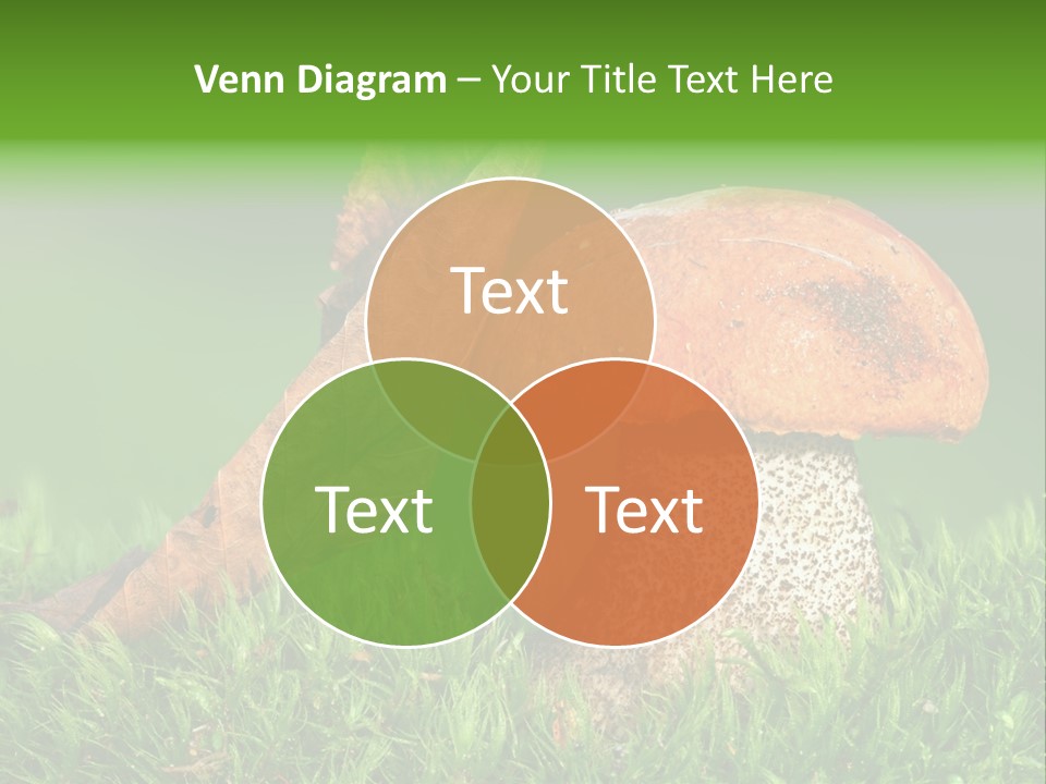 Mushrooms PowerPoint Template