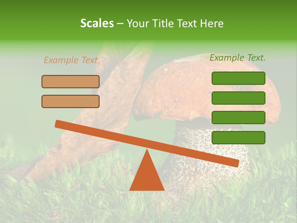 Mushrooms PowerPoint Template