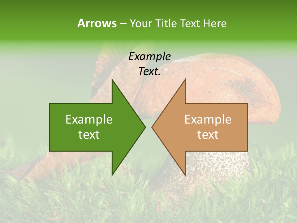 Mushrooms PowerPoint Template