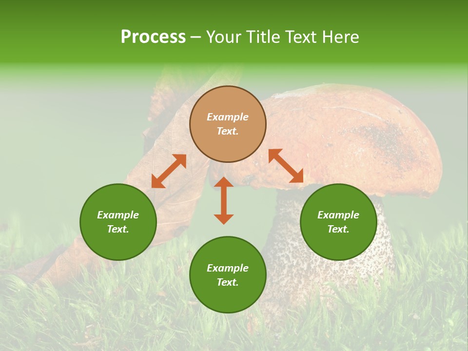 Mushrooms PowerPoint Template