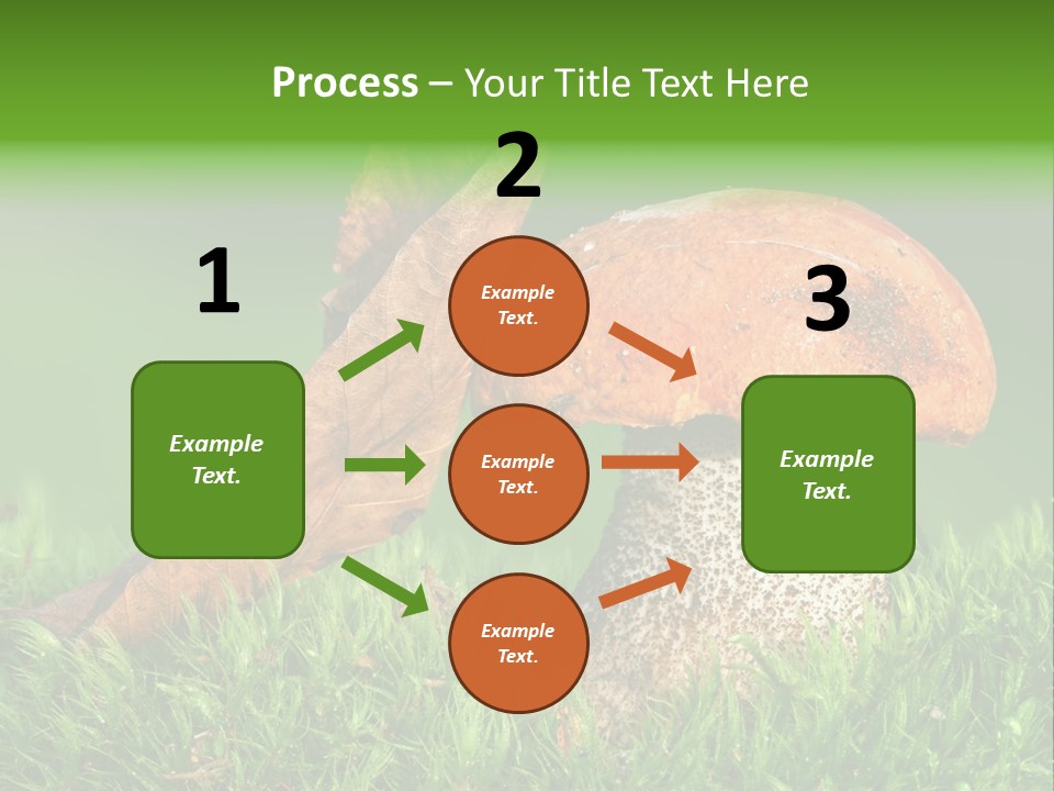 Mushrooms PowerPoint Template