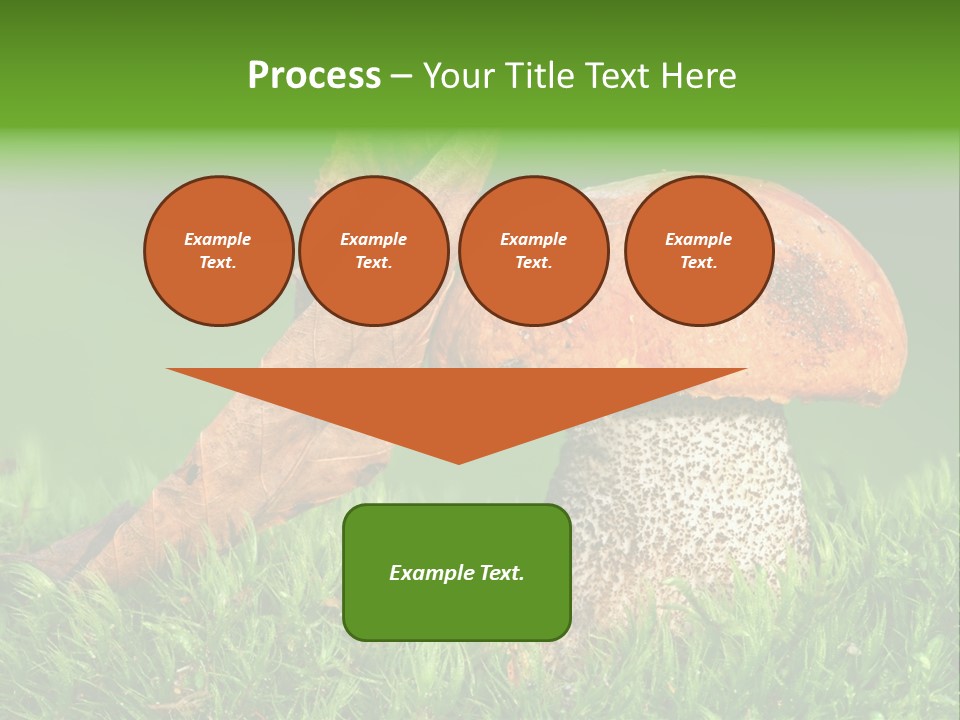 Mushrooms PowerPoint Template