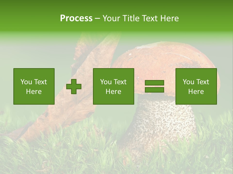 Mushrooms PowerPoint Template