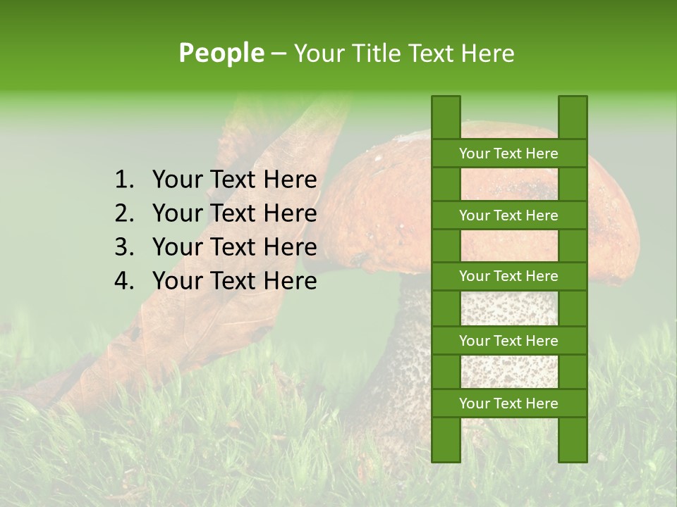 Mushrooms PowerPoint Template