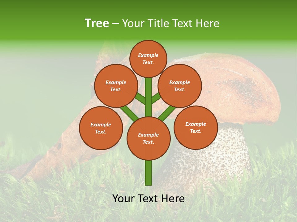 Mushrooms PowerPoint Template