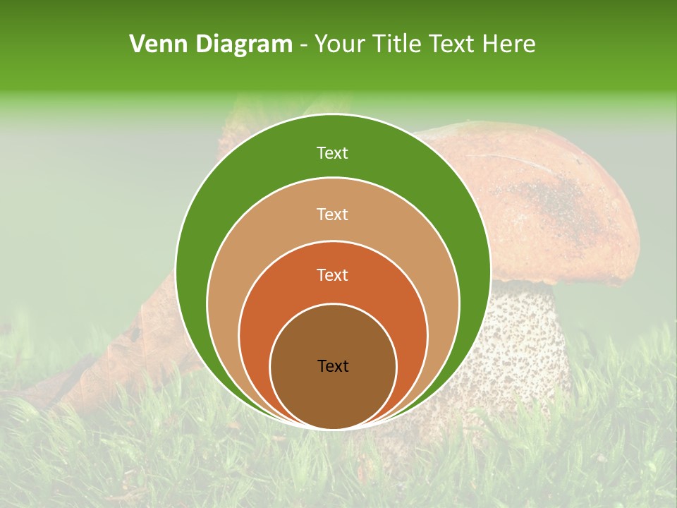 Mushrooms PowerPoint Template