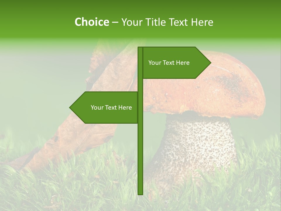 Mushrooms PowerPoint Template