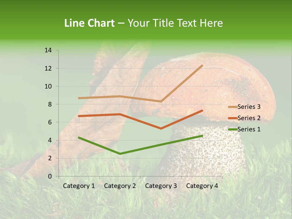 Mushrooms PowerPoint Template