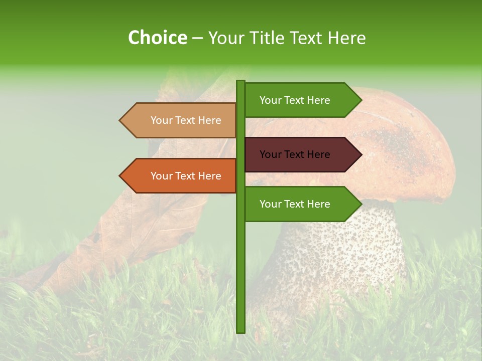 Mushrooms PowerPoint Template