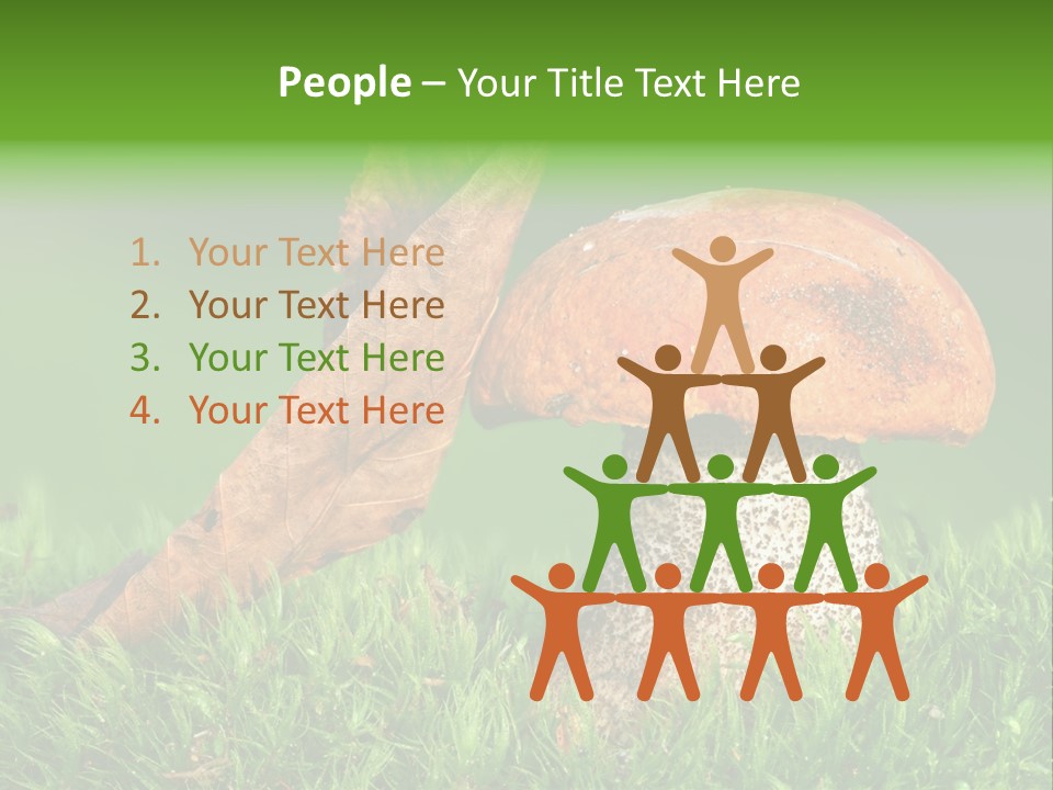 Mushrooms PowerPoint Template