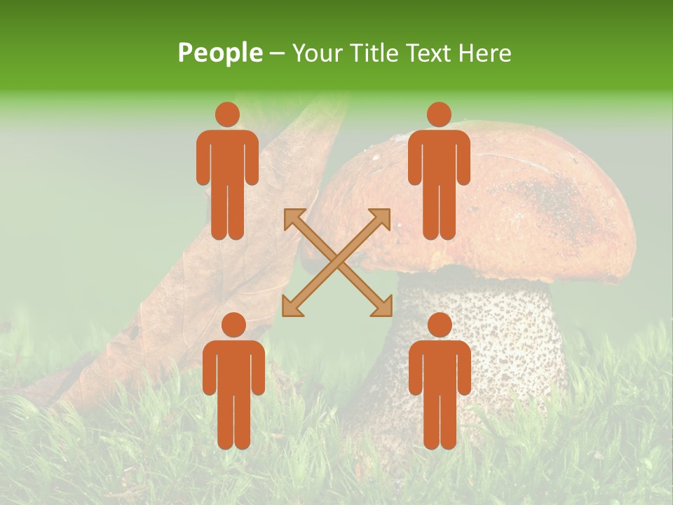 Mushrooms PowerPoint Template