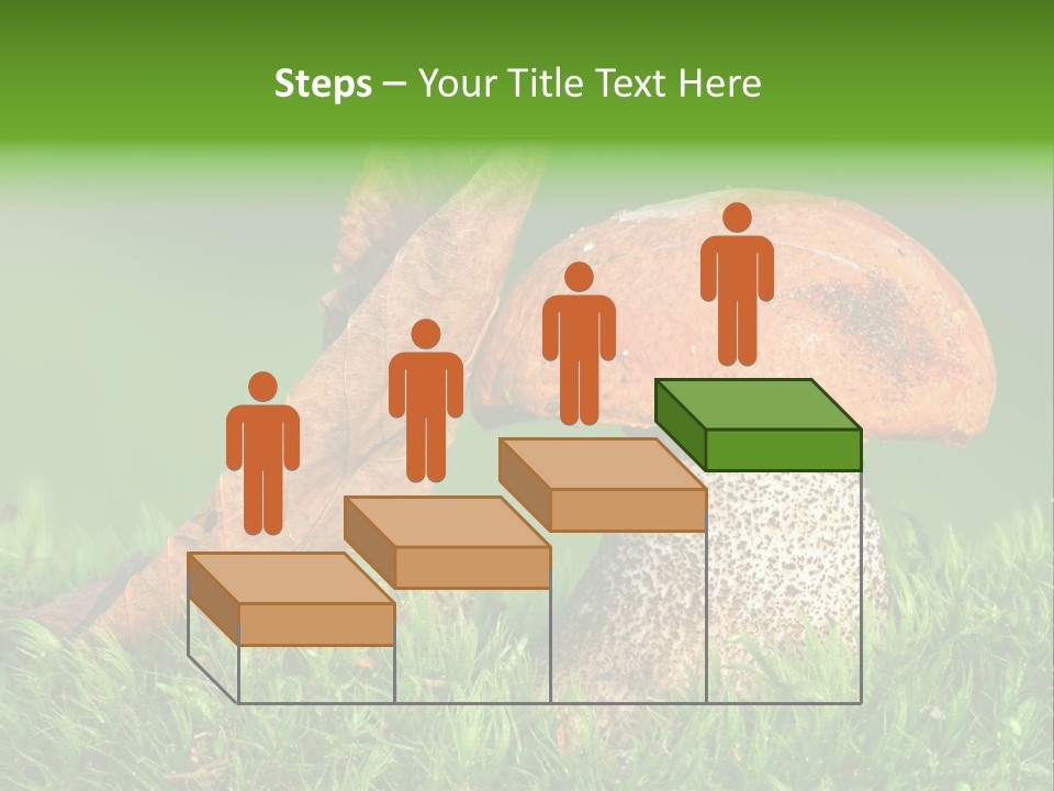 Mushrooms PowerPoint Template