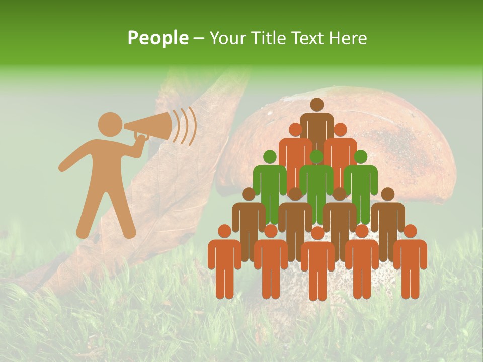 Mushrooms PowerPoint Template