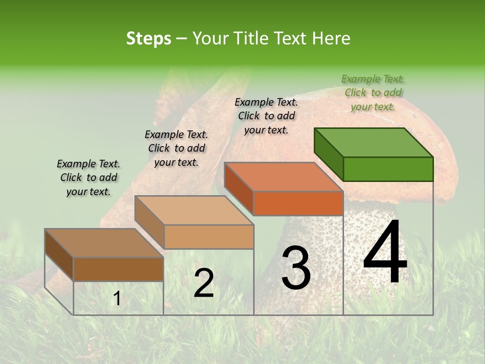 Mushrooms PowerPoint Template