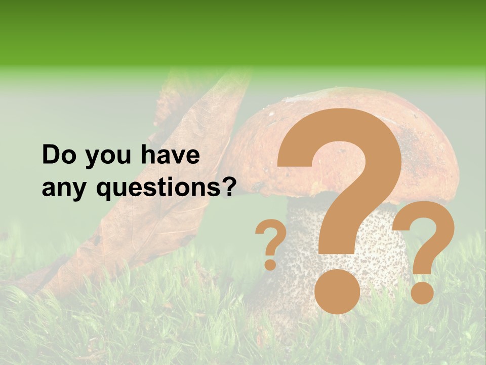 Mushrooms PowerPoint Template