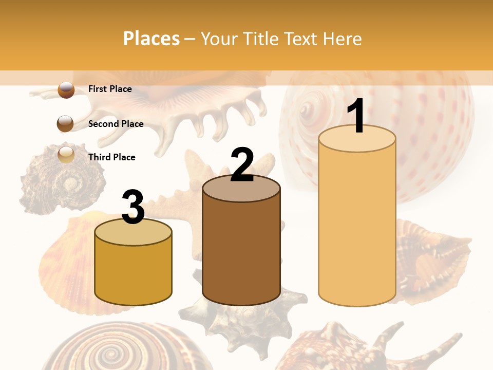 Beautiful Shells PowerPoint Template