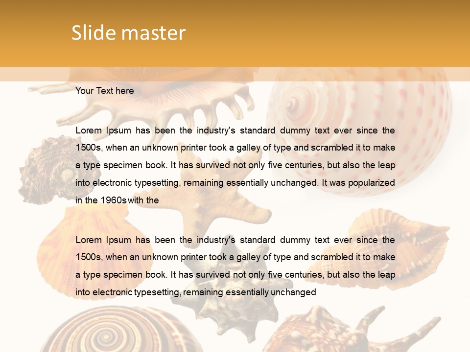 Beautiful Shells PowerPoint Template