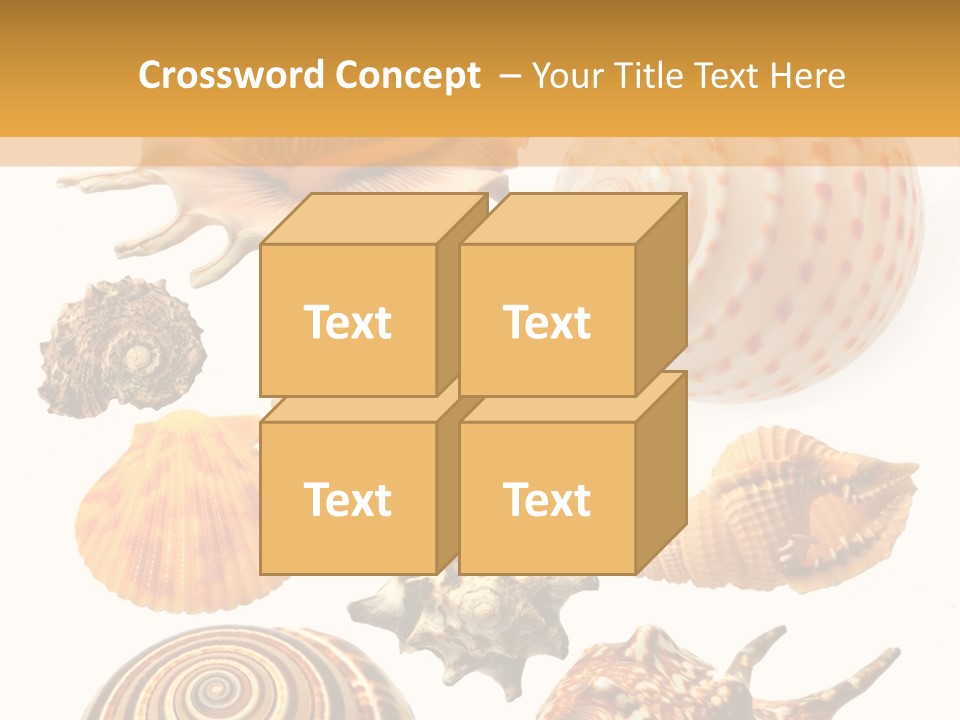 Beautiful Shells PowerPoint Template