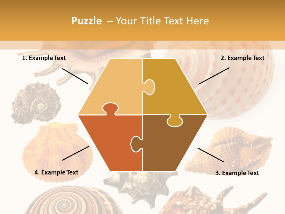 Beautiful Shells PowerPoint Template