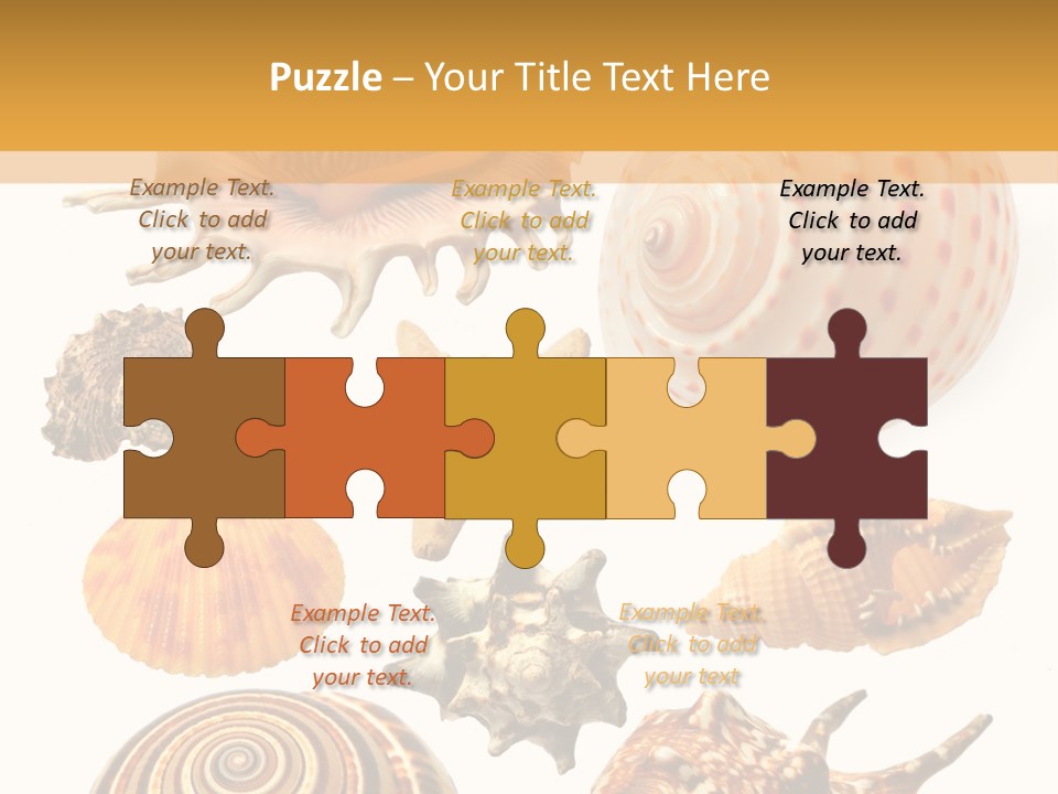 Beautiful Shells PowerPoint Template