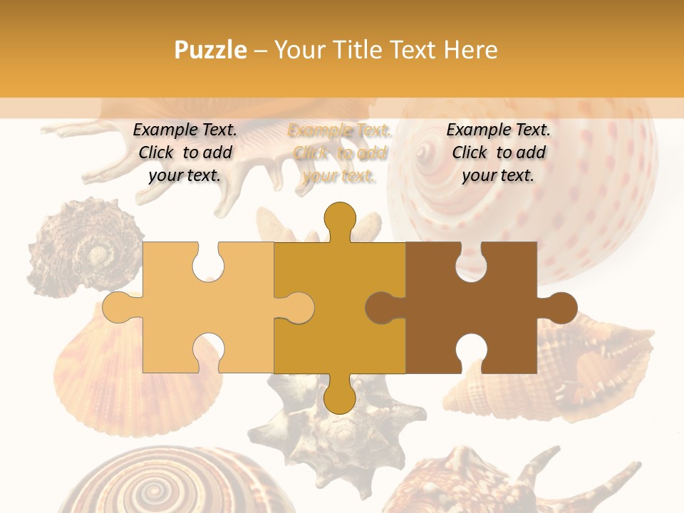 Beautiful Shells PowerPoint Template