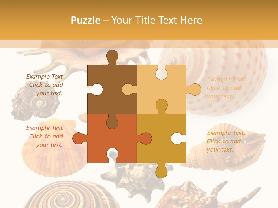 Beautiful Shells PowerPoint Template