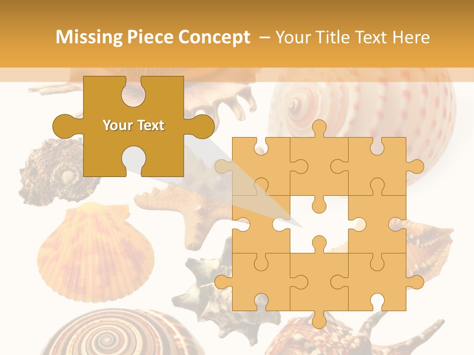 Beautiful Shells PowerPoint Template