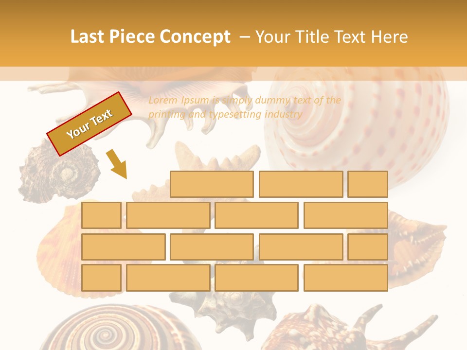 Beautiful Shells PowerPoint Template