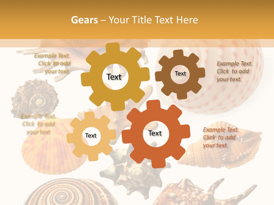 Beautiful Shells PowerPoint Template