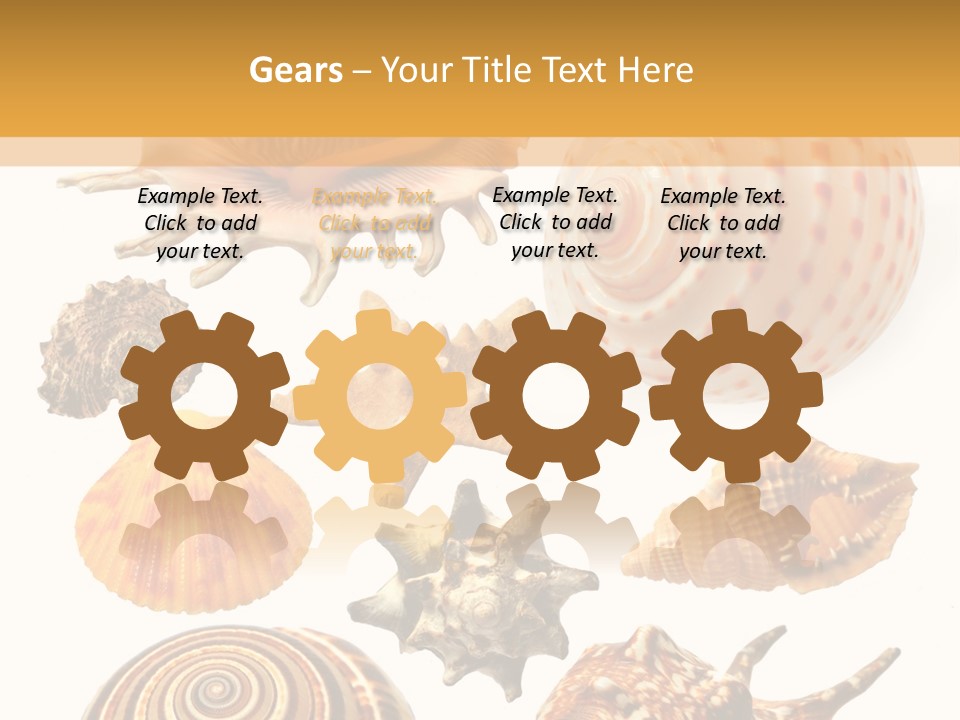Beautiful Shells PowerPoint Template