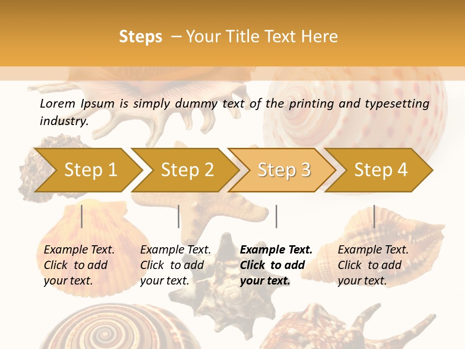 Beautiful Shells PowerPoint Template